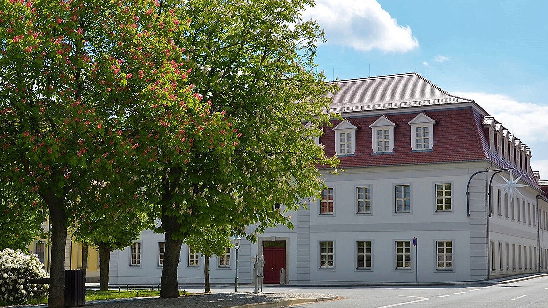 Schule von außen, davor blühen Kastanienbäume